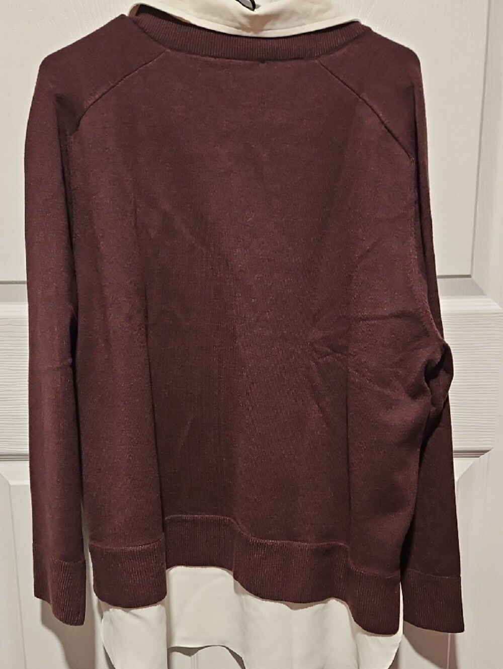 Ann Taylor Men's Dark Brown V-Neck Sweater with Ivory Shirt Hem - Picture 6 of 7